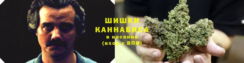 Бошки Шишки семена  Кыштым 